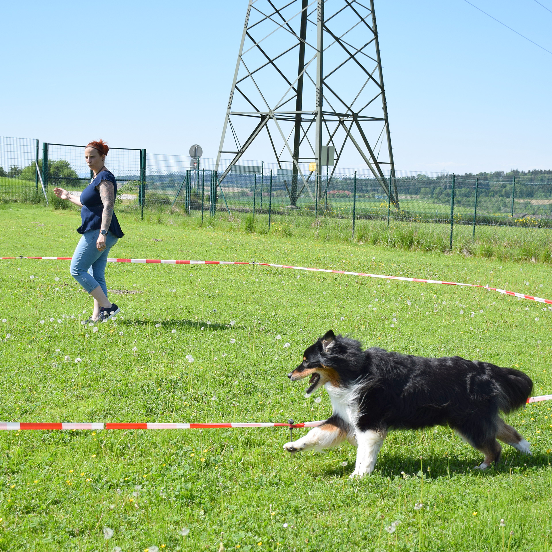 Longieren - Trainerin und Hund der um abgesteckten Kreis läuft